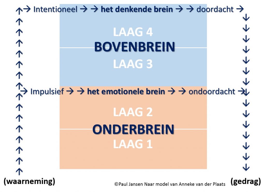 4lagenmodel